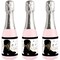Big Dot of Happiness Nash Bash - Mini Wine and Champagne Bottle Label Stickers - Nashville Bachelorette Party Favor Gift for Women and Men - Set of 16